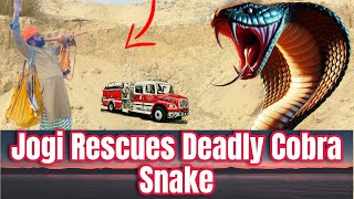 Jogi Rescues Deadly Cobra Snake | Incredible Snake Rescue Mission”