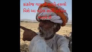 કાંકરેજ ગાય ની સેવા કરી છે અને તેમની સાથે તેઓ પોતાનૂ જીવન ગુજાર્યું છે