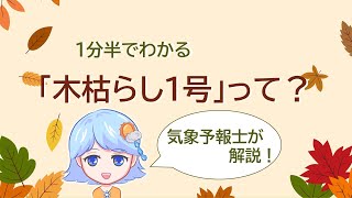 一分半でわかる「木枯らし1号」って？【お天気さんの季節便り】