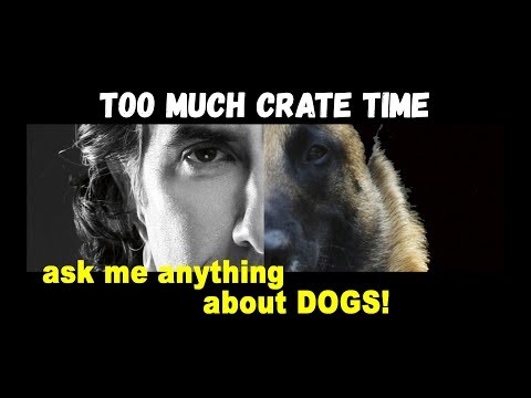 How much time is too much time in a dog crate?
