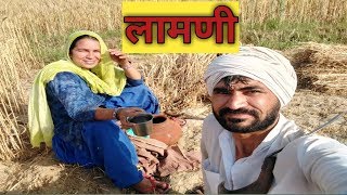 ❤लामणी❤haryana village life❤Agriculture farming in haryana❤