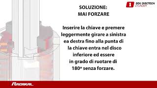 RADIKAL Azionamento di serrature con dischi, protezione antifurto ad alta sicurezza, chiave, blocco