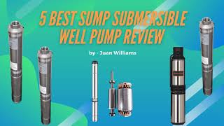 5 Best Submersible Well Pump Review 2020