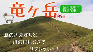 [登山]竜ヶ岳　金山尾根→遠足尾根コース