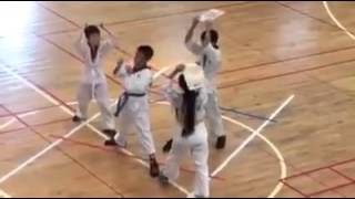 小學雞打拳