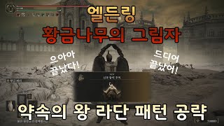 엘든링 DLC 보스 공략 - 약속의 왕 라단 (185레벨)