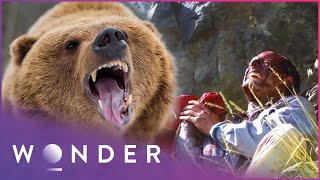 Grizzly Bear Attack Survivors Share Their Stories |  Human Prey | Wonder