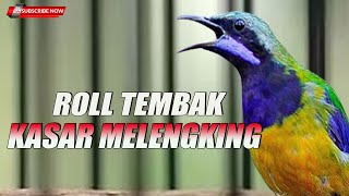 MASTERAN EDISI ROLL NEMBAK PANJANG KASAR MELENGKING COCOK UNTUK  BURUNG LOMBA