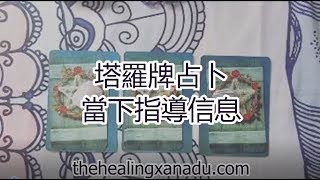 【塔羅占卜】當下指導信息 （視頻上載日期不重要）