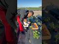 Mom catch daughter & dad stealing strawberries and strawberry festival #shorts