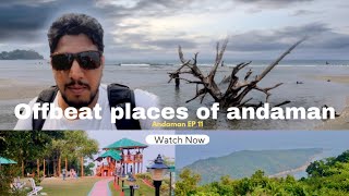 Offbeat places of Andaman | Chatham to bamboo Flat