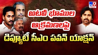 అటవీ భూముల ఆక్రమణలపై డిప్యూటీ సీఎం పవన్ యాక్షన్ | Pawan kalyan | Peddireddy Ramachandra Reddy - TV9