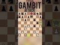 typical king’s gambit attack. checkmate in 15 moves.