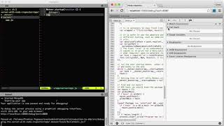 4 Debugging the Server with Node Inspector