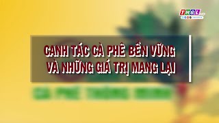 Chương trình “CANH TÁC CÀ PHÊ THÔNG MINH” Số 03