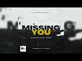 Missing you (Mixtribe ft. Saukii)