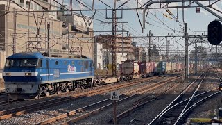 【約４時間遅れ】JR貨物EF210形0番台6号機（新塗装）＋コキ22B（両）が鶴見駅を通過するシーン（1060レ・岡A23・コンテナ輸送）2025.2.26