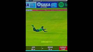 Shadab khan flying catch🤩✌️😱#shorts #cricket #levelhai