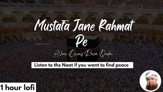 1 hour lofi | Mustafa jane rehmat pe lakhon salam |  Best of Naat | Tuneful 13