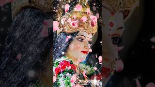 इस अंबा में जगदंबा में गजब की है शक्ति #shortvideo #matakibhakti #WhatsApp status#🙏🚩🚩🥰🥰🚩🙏🙏