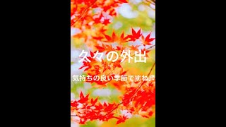 紅葉マニアの喜び♪(新宿区:落合公園)