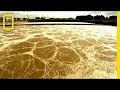 Where Does Your Sewage Go? | I Didn't Know That