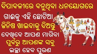 ଦିପାବଳୀରେ ବନୁଥିବା ଧନୟୋଗରେ ଗାଈକୁ ଏହି ଛୋଟିଆ ଜିନିଷ ଖାଇବାକୁ ଦିଅନ୍ତୁ  ଆପଣଙ୍କ ସବୁ ଇଚ୍ଛା ହେବ ପୁରଣ