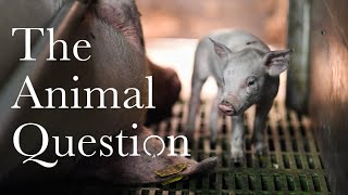 Are Animals Included in Antinatalism?