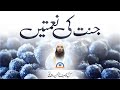 Jannat Ki Naimatain || Sheikh Tauseef ur Rehman