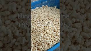 Corn puff snacks twin screw extruder. Good product good market.