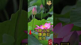 菩萨要保佑你了，你下个月就将鸿运当头，天降吉星，赚钱如流水#生肖 #財運 #風水