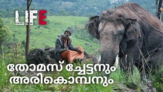 തോമസ് ച്ചേട്ടനും അരികൊമ്പനും | true story | #arikomban #malayalam #keralanews #elephant