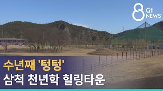 [G1뉴스] 수년째 '텅텅'..삼척 천년학 힐링타운