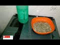 how to cook delicious crunchy omena dagaa at home very simple recipe