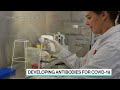 Developing Antibodies for Covid-19