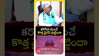 కరోనా నుంచే కొత్త వైరస్ పుట్టిందా.#hmpv #lockdown #icmr  #hmpv  #hmpvirus #shorts #china #trending