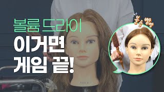 뿌리 볼륨 드라이 이거면 게임 끝이죠!