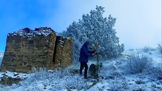 survival in rooflese shelter in heavy snow forest (solo camping bushcraft asmr relaxing winternature