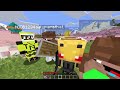 i snuck into a noob only vs pro only minecraft server