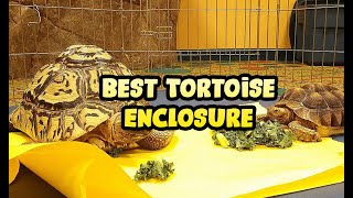 Best Tortoise Enclosure