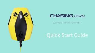 Chasing Dory Quick Start Video
