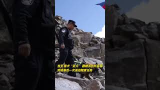 告别无言战友！退役警犬最后一次巡边（记者：阿曼、尹星宇）