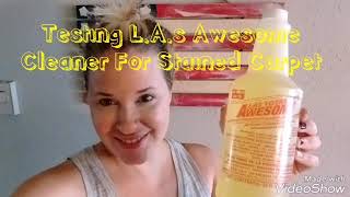 Testing - L.A.s Totally Awesome Cleaner On Stained Carpets