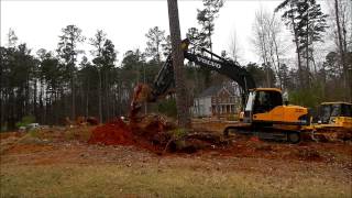 Volvo Ec160 Pushing over Pines