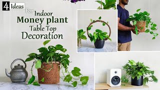 4 Money plant Tabletop Decoration Ideas-Money Plants Decoration Ideas-Grow Money plant//GREEN PLANTS