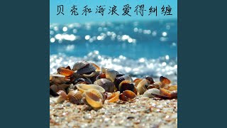 贝壳和海浪爱得纠缠