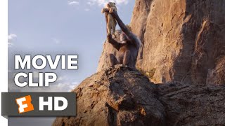 The Lion King Movie Clip - Circle of Life (2019) | Movieclips Coming Soon