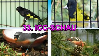 Impressionen 33. ICC-Schau Schwabach-Unterreichenbach