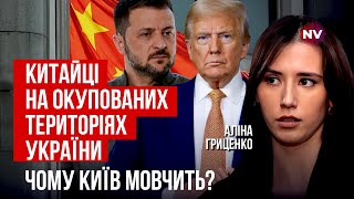 Україна має відреагувати на це. Китай дуже боїться впливу Трампа | Аліна Гриценко