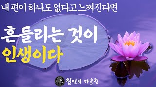 반복되는 불안과 걱정으로 자신감을 잃어버린 사람들에게|내 편이 하나도 없다고 느껴질 때|내가 노년에 친구를 만나지 않는 이유|무관심의 처세술|부처님 말씀|석가모니|ASMR|불교